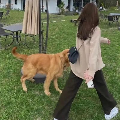 爱后余生